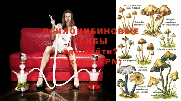 мескалин Баксан