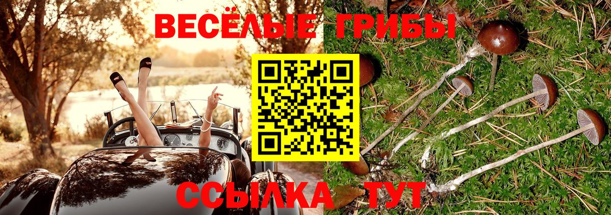 Псилоцибиновые грибы GOLDEN TEACHER Ногинск